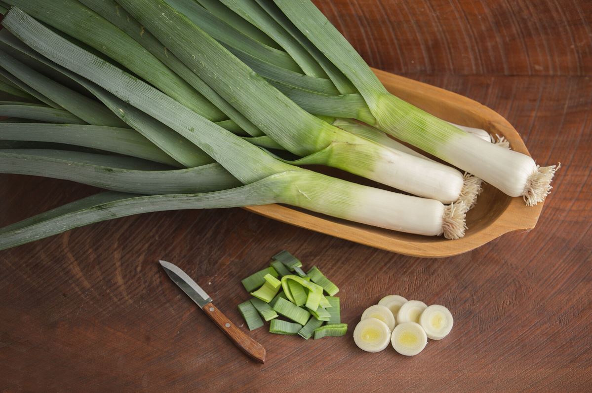 Rally – Organic Leek Seed